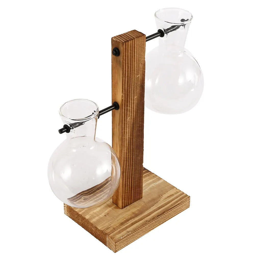 Glass Vase with Wooden Stand - 3 Styles Included