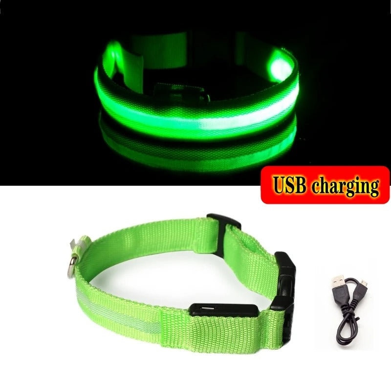 LED Light-Up Dog Collar